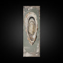 Canvas Print Rustic Oyster Shell Painting Coastal Kitchen Decor Wabi Sabi Art Living Room Art Nautical Wall Art Coastal Kitchen Decor