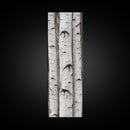 Classic Birch Trees Black and White Wall Art Framed Canvas Print Rustic Farmhouse Art Tall Narrow Art Guest Room Decor