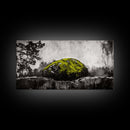 Mossy Rock, Abstract Nature, Green and Black Art, Canvas Print, Rustic Wall Decor, Boho Artwork, Modern Farmhouse Decor