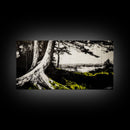 Forest Tree, Ocean View, Coastal Landscape, Canvas Print, Nature Wall Art, Black and White Art, Cabin Wall Decor, Rustic Wall Art