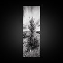 Desert Tree, Nature Minimalism, Solitary Landscape, Framed Canvas Print, Living Room Wall Art, Earth Tone Art, Tranquil Modern Decor