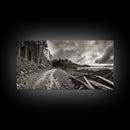 Forest Ocean Trail, Stormy Beach Scene, Driftwood Pathway, Framed Canvas Print, Cabin Entryway or Nature-Inspired Living Room Art