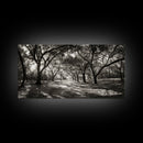Oak Tree Path, Autumn Forest Glow, Nature Trail Photography, Framed Canvas Print, Hallway Wall Art, Earthy Decor, Woodland Art