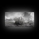 Desert Coral Plant, Dry Earth Botanical, Surreal Nature Texture, Minimal Wild Scene, Canvas Print, Office Wall Art, Earthy Decor