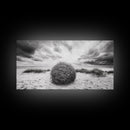 Desert Tumbleweed, Western Landscape, Stormy Sky, Framed Canvas Print, Rustic Farmhouse Wall Art, Fall Decor, Minimalist Western Art