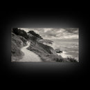 Coastal Path, Nature Trail, Ocean Cliff, Cypress Tree, Framed Canvas Print, Minimalist Wall Art, Living Room Decor, Scenic Landscape