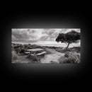 Picnic Table, Ocean Tree, Coastal Path, Windswept Scene, Framed Canvas Print, Rustic Wall Art, Fall Decor, Peaceful Beach Setting