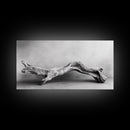 Driftwood Sculpture, Organic Modern Art, Natural Wood Texture, Neutral Decor, Framed Canvas Print, Bedroom or Living Room Wall Art