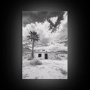 Palm Tree, Desert Shack, Abandoned Beauty, Western Minimalism, Canvas Print, Living Room Wall Art, Rustic Modern Style, Boho Wall Decor