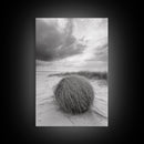Tumbleweed Dune, Windy Coast, Desert Beach, Canvas Print, Boho Wall Art, Autumn Nature Decor, Minimalist Western Photography