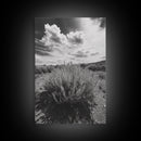 Desert Sage, Cloud Sky, Nature Wall Decor, Framed Canvas Print, Minimalist Art, Boho Style, Neutral Tones, Entryway Botanical Print