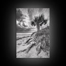 Palm Tree Beach, Coastal Dunes, Dramatic Sky, Framed Canvas Print, Tropical Wall Art, Boho Living Room Decor, Beach House Art