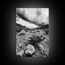 Desert Storm, Cactus Scene, Black White Art, Canvas Print, Southwest Wall Art, Earthy Tones Decor, Boho Style, Entryway Wall Accent