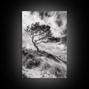 Windswept Tree, Coastal Landscape, Stormy Sky, Framed Canvas Print, Modern Rustic Wall Art, Nature Photography, Bedroom Wall Accent
