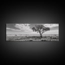 Desert Tree, Solitude Scene, Nature Photography, Framed Canvas Print, Minimalist Tree Art, Bedroom Wall Decor, Neutral Landscape Art