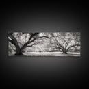 Sprawling Trees, Oak Forest, Sunlit Canopy, Majestic Branches, Canvas Print, Nature Wall Art, Boho Decor, Living Room Statement Piece