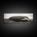 Heather Rock, Grassy Field, Natural Simplicity, Earthy Tones, Canvas Print, Rustic Home Decor, Minimalist Nature Wall Art, Fall Inspired Art