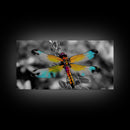 Rainbow Dragonfly, Nature Close-Up, Bold Insect Art, Canvas Print, Boho Wall Art, Botanical Decor, Vibrant Bedroom Accent Piece
