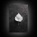 Monochrome Leaf, Nature Minimal, Still Life, Moody Art, Framed Canvas Print, Fall Wall Art, Kitchen Decor, Neutral Modern Aesthetic