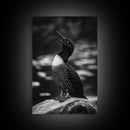 Loon Call, Singing Bird, Red Beak, Monochrome Framed Canvas Print, Wildlife Wall Decor, Bird Lover Wall Art, Rustic Cabin Accent