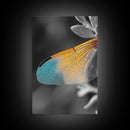 Wing Detail, Colorful Insect, Macro Nature, Blue Orange Wing, Framed Canvas Print, Natural Science Art, Entomology Wall Accent