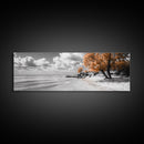 Sandy Beach Trees, Golden Autumn Coastline, Cloudy Sky Horizon, Canvas Print, Nature Coastal Art, Bathroom Wall Decor, Boho Fall Aesthetic