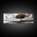 Mangrove Tree, Coastal Roots, Windswept Shore, Stormy Sky, Framed Canvas Print, Entryway Wall Art, Tropical Nature Art, Minimalist Style