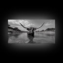 Longhorn in Water, rustic art, western decor, bull and bear art, cowboy wall art, farmhouse art, panoramic art, Framed Canvas Print