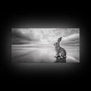 Rabbit Beach, whimsical art, coastal decor, animal painting, nature wall art, moody art, soft neutral tones, beach photography, Canvas Print