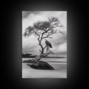 Bald eagle, nature wall art, moody art, wildlife photography, tree art, black and white art, above bed wall art, framed canvas print