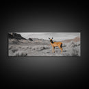 Desert Deer, Southwest Wall Art, Wildlife Painting, Rustic Wall Art, Nature Decor, Extra Wide Art, Horizontal Wall Art, Framed Canvas Print