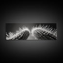 Desert Cactus, southwest wall art, moody art, Joshua tree art, extra wide wall art, nature photography, framed canvas print