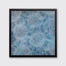 Convolvulos - Limited Edition Canvas Print