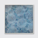 Convolvulos - Limited Edition Canvas Print