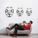 Cool Dog