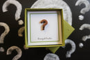 Question Mark Copper Lapel Pin