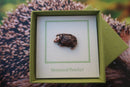 Hedgehog Copper Lapel Pin