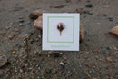 Horseshoe Crab Copper Lapel Pin