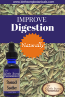 Stomach Soother Herbal Digestive Aid Tincture with Ginger