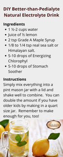 Stomach Soother Herbal Digestive Aid Tincture with Ginger