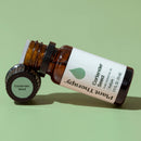 Coriander Seed Essential Oil
