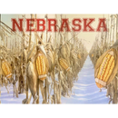 Nebraska Field of Corn, Footballs Wooden Framed Picture | Corncoctions