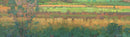 Monhegan Marsh - Open Edition Canvas Print