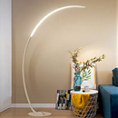 Courbe Designer Floor Lamp