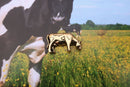 Cow Gold Lapel Pin