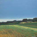 Cropped Fields - Limited Edition Canvas Print