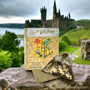 Harry Potter - Hogwarts Crests Wooden Jigsaw Puzzle