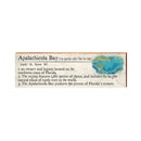 Apalachicola Bay, Florida Definition Wooden Sign | Wall Art Print on Real Wood