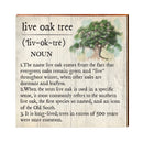 Live Oak Tree Definition Wooden Sign | Wall Art Print on Real Wood | Southern Home Decor