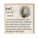 Owl Definition Wooden Sign | Wall Art Print on Real Wood | Bird Home Decor
